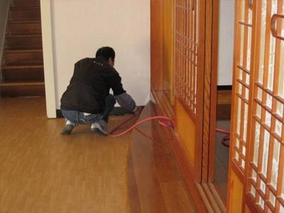 家里有該白蟻怎么辦？